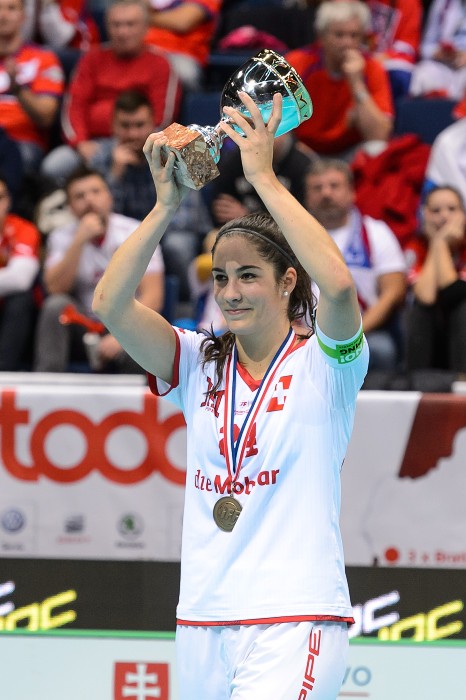 MS 2017 - Česko x Švýcarsko