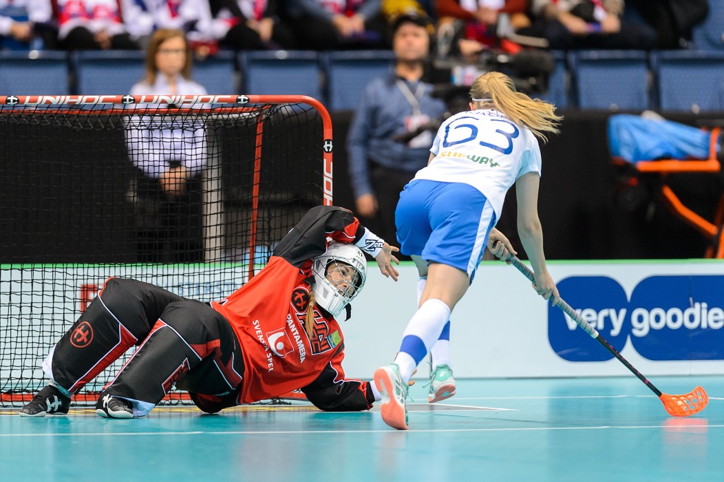 MS 2017 - Švédsko x Finsko