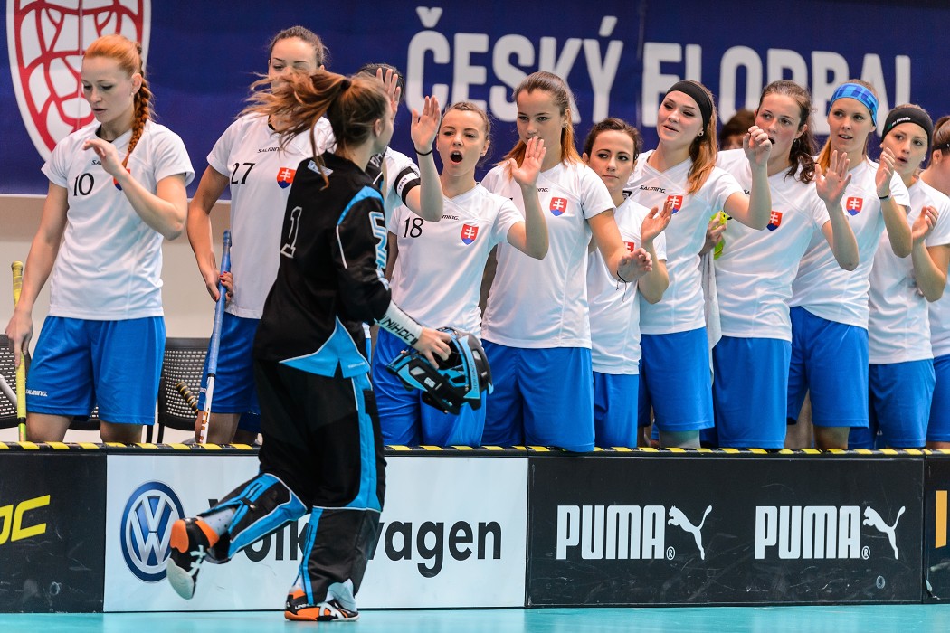 Slovensko vs Německo