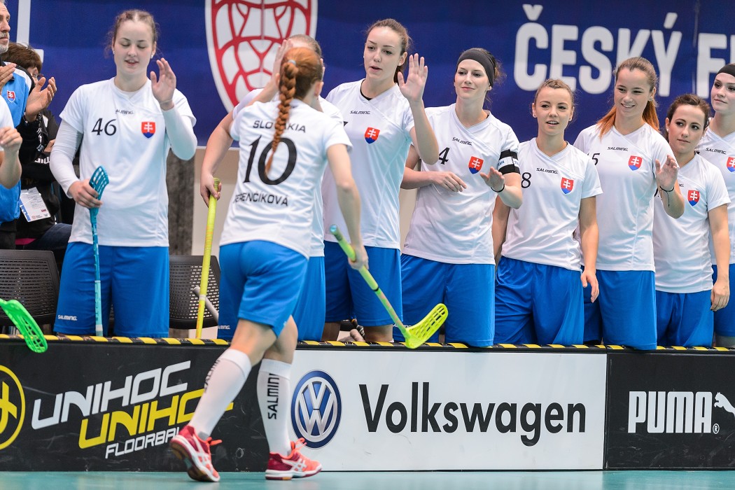 Slovensko vs Německo