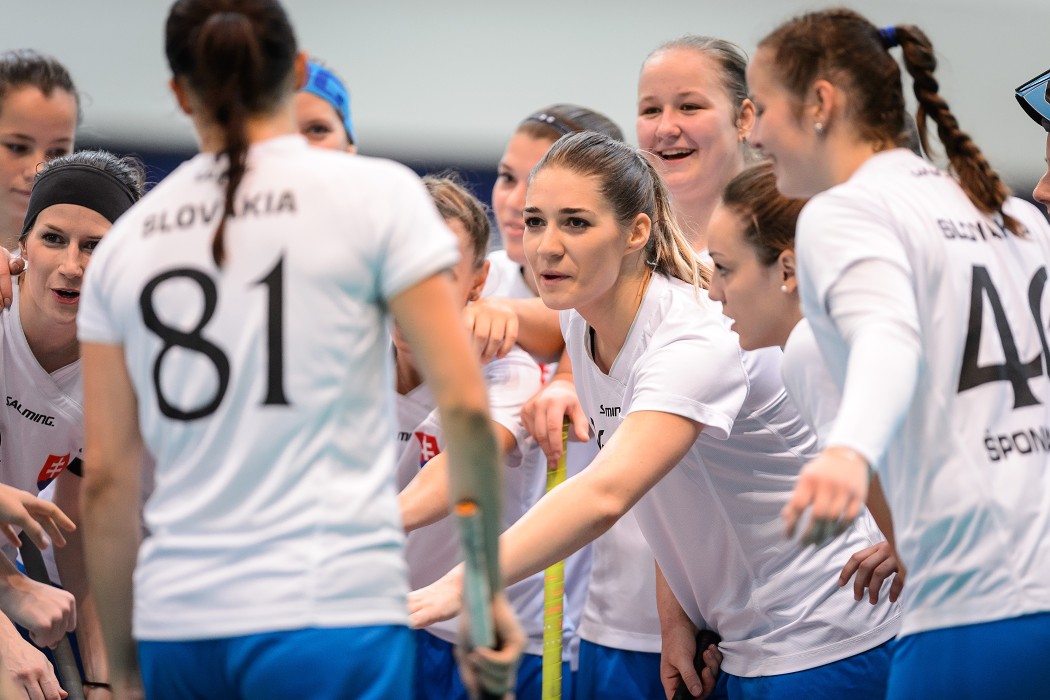 Slovensko vs Německo