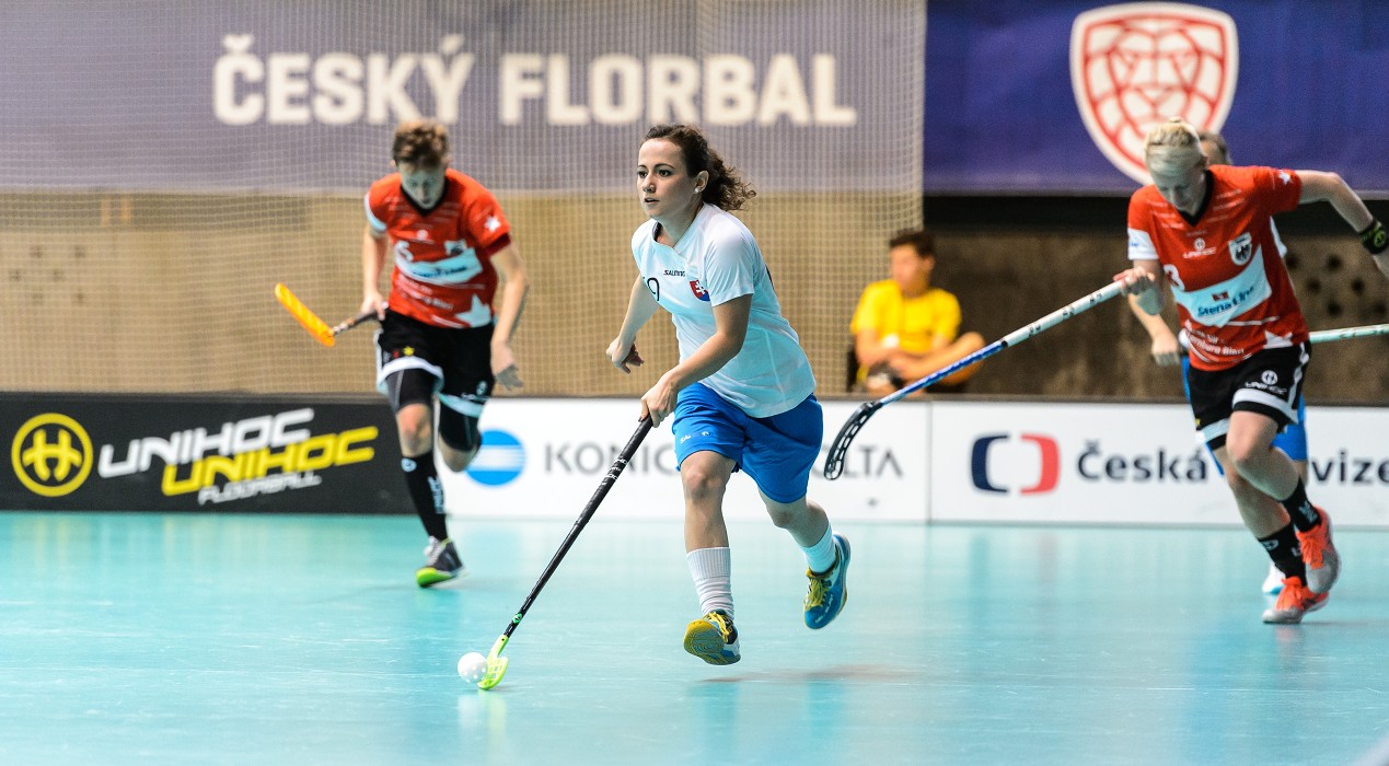 Slovensko vs Německo