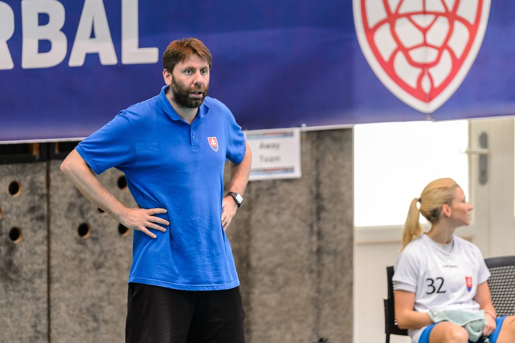 Slovensko vs Německo