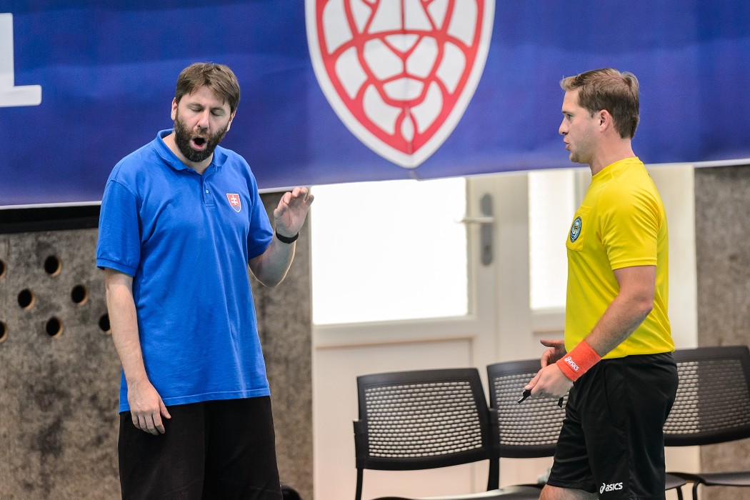 Slovensko vs Německo