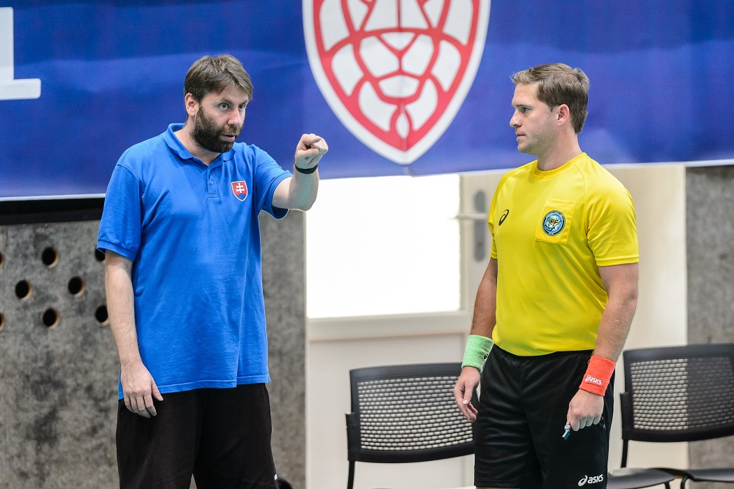 Slovensko vs Německo