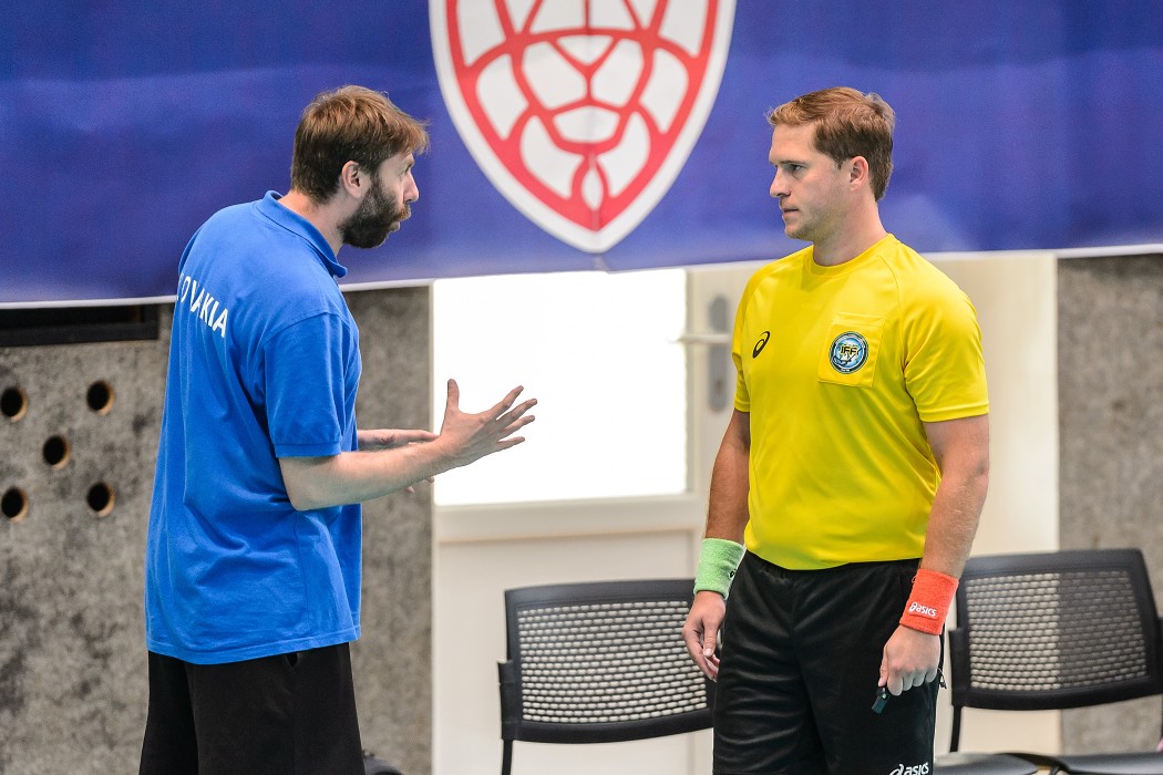 Slovensko vs Německo