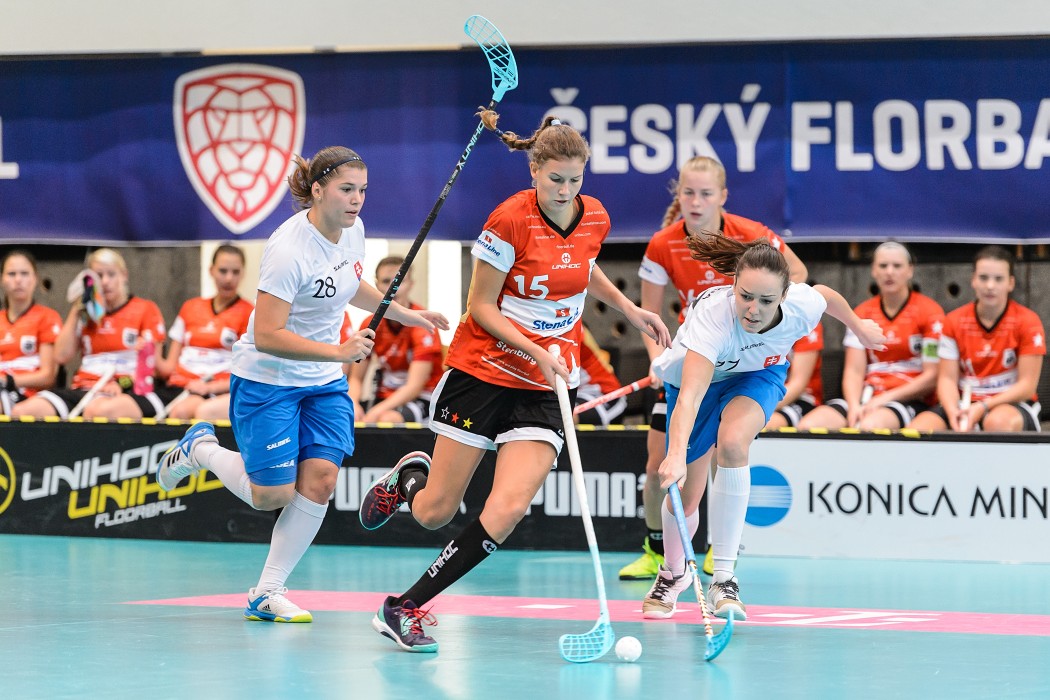 Slovensko vs Německo