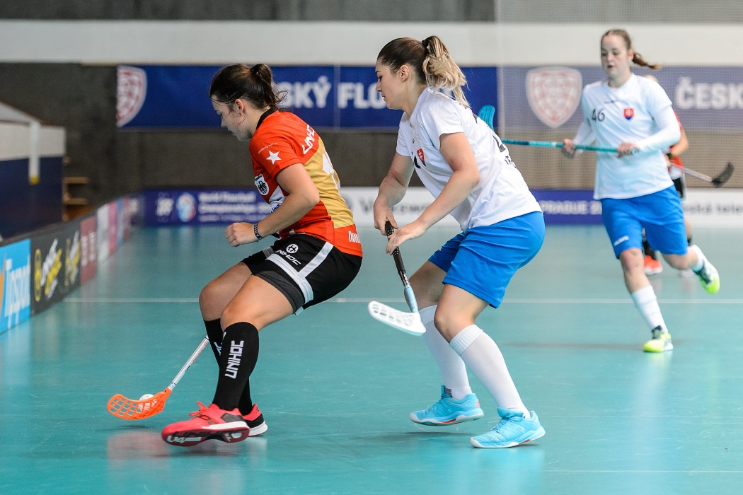 Slovensko vs Německo