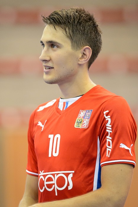 Česko vs Švýcarsko