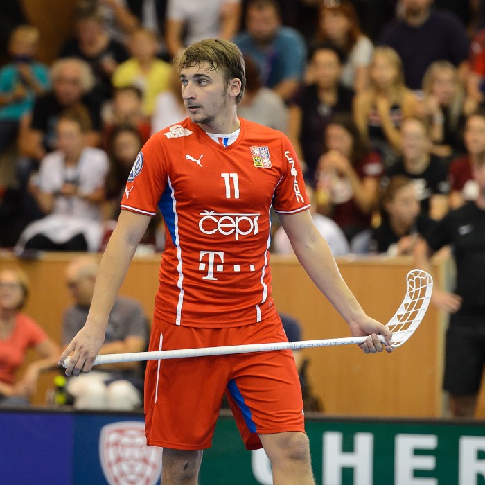 Česko vs Švýcarsko