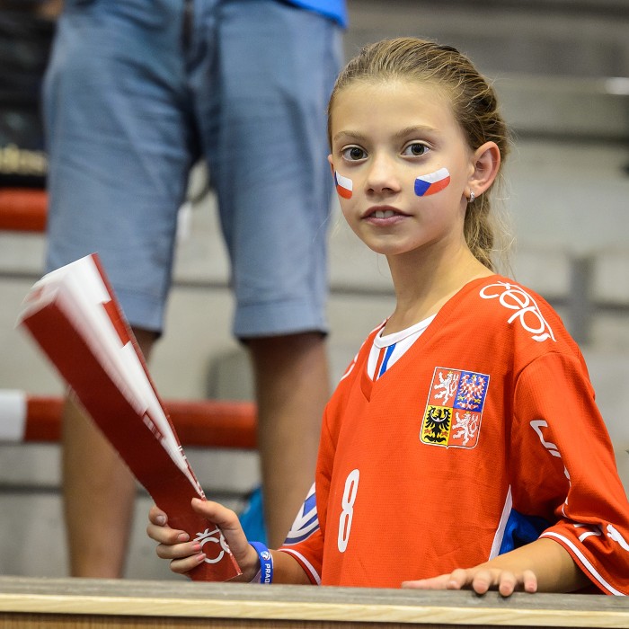 Česko vs Švýcarsko