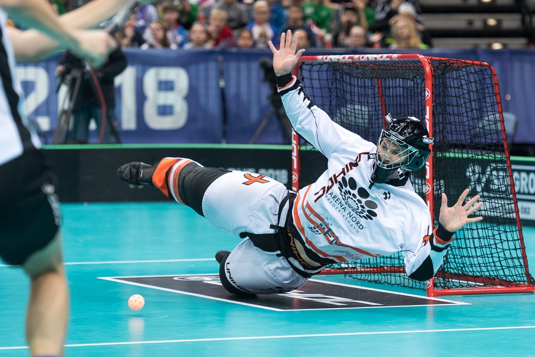 WFC 2018 - Denmark v Estonia