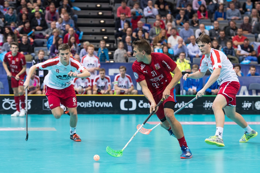WFC 2018 - Czech Republic v Denmark