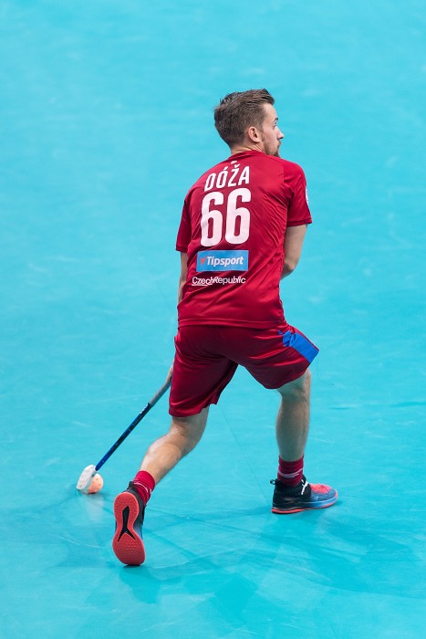 WFC 2018 - Czech Republic v Denmark
