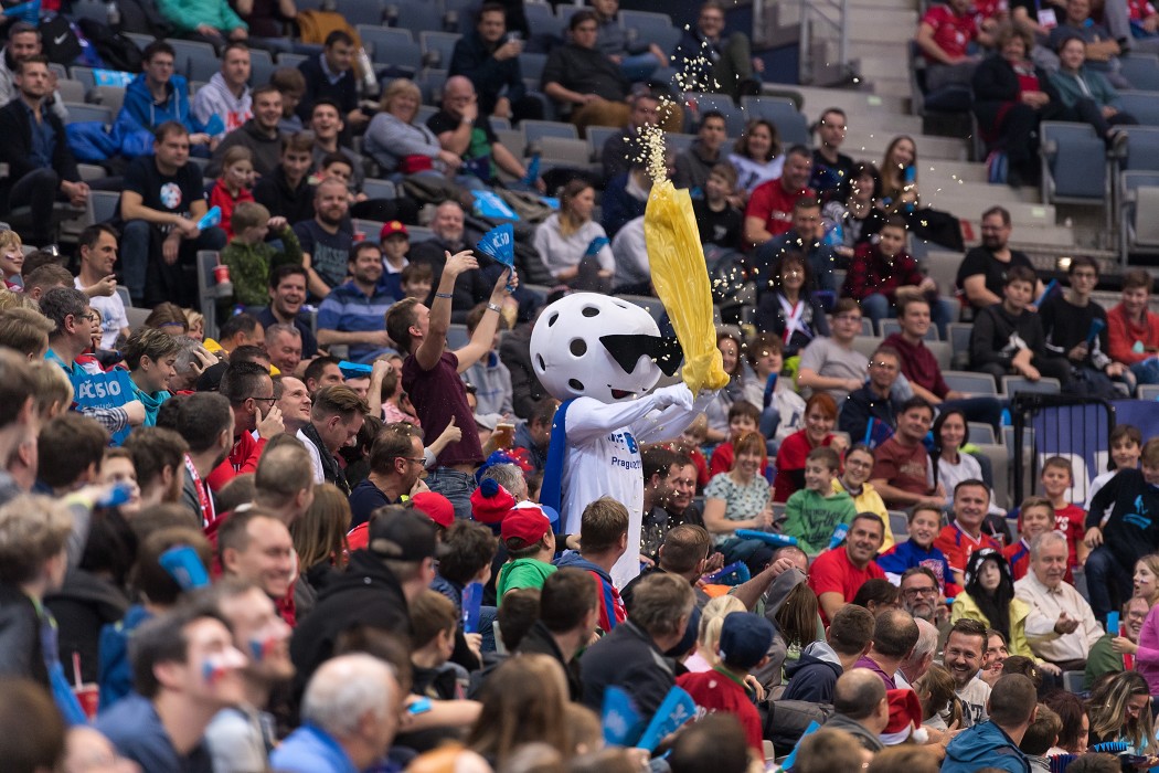 WFC 2018 - Czech Republic v Denmark