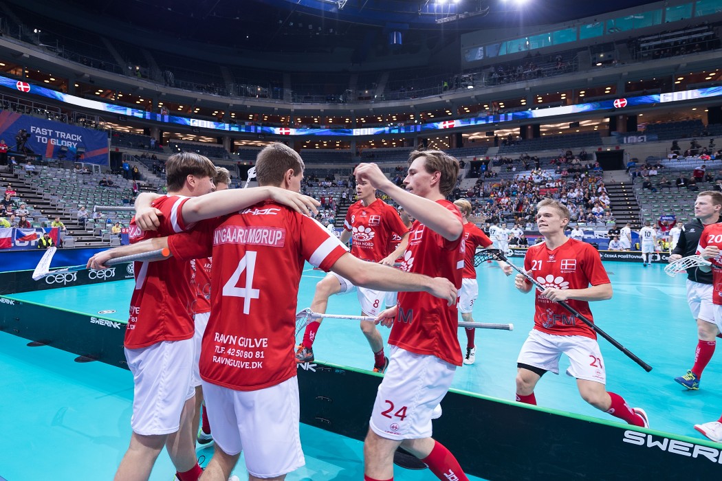 WFC 2018 - Denmark v Germany