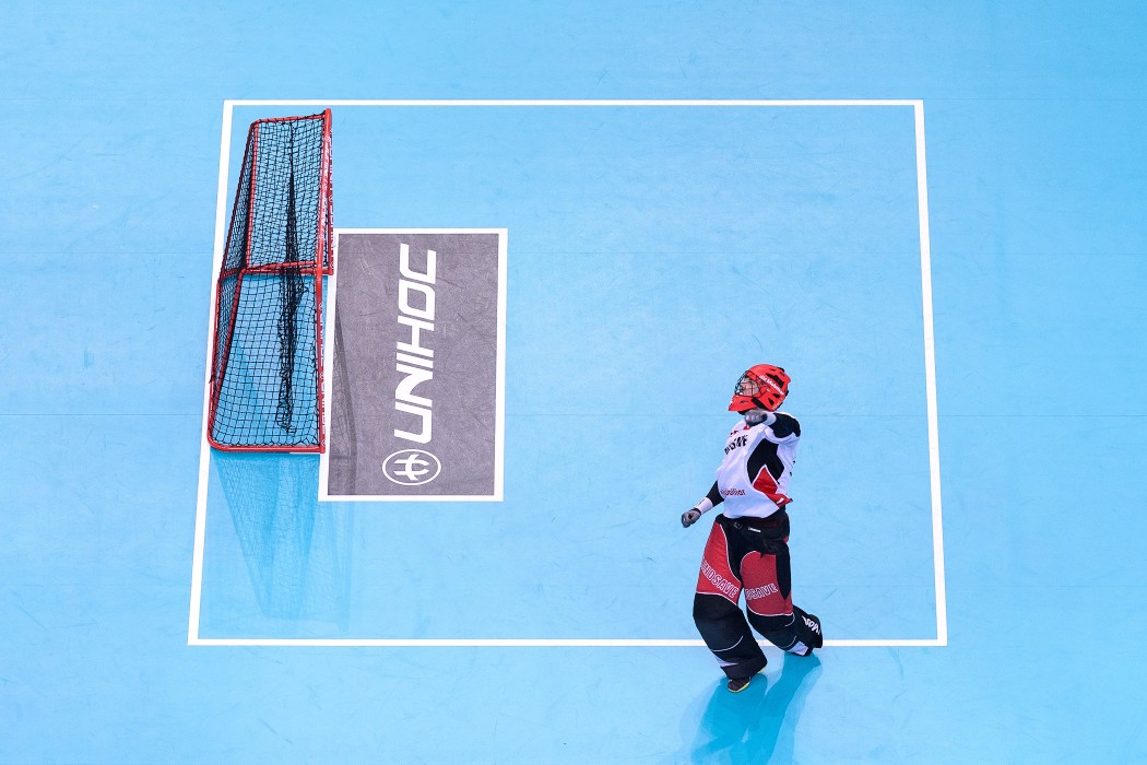 WFC 2018 - Sweden v Switzerland