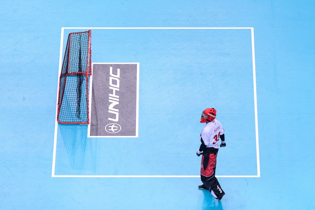 WFC 2018 - Sweden v Switzerland