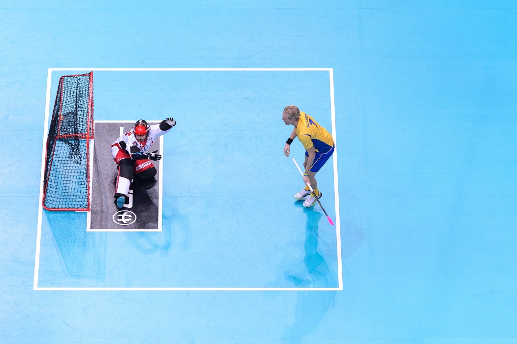 WFC 2018 - Sweden v Switzerland