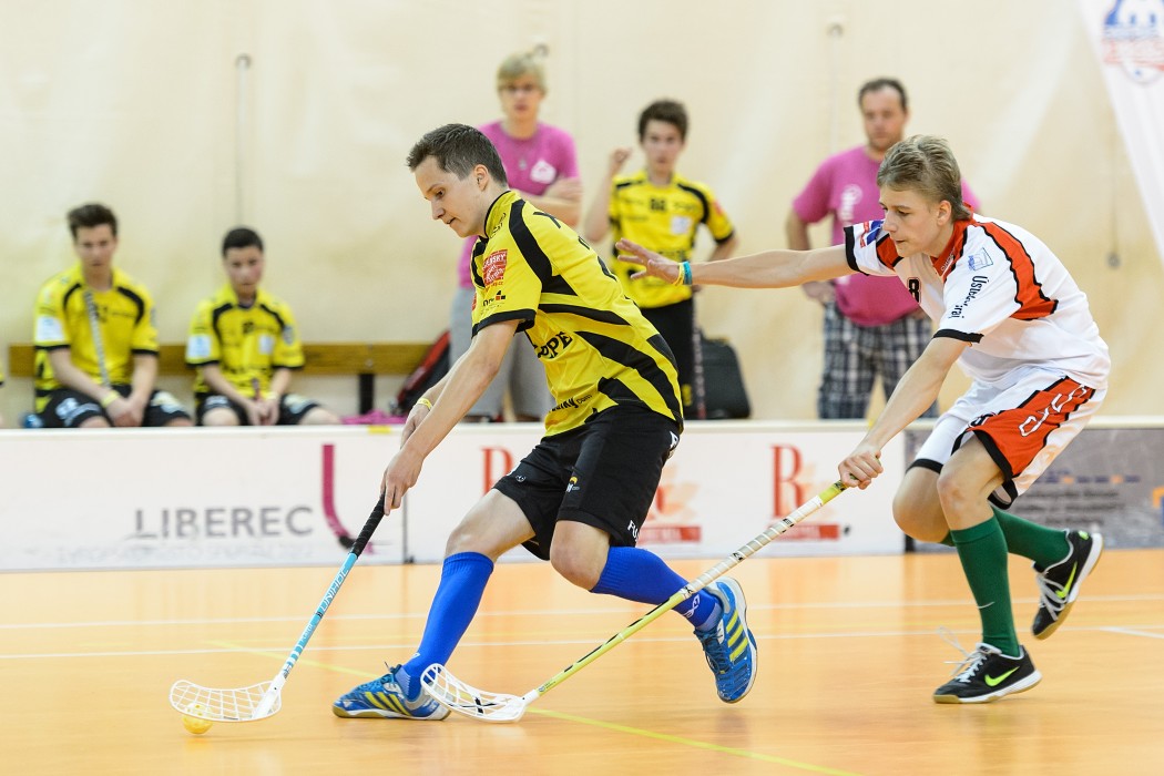 20140531 115350 MFL 2533