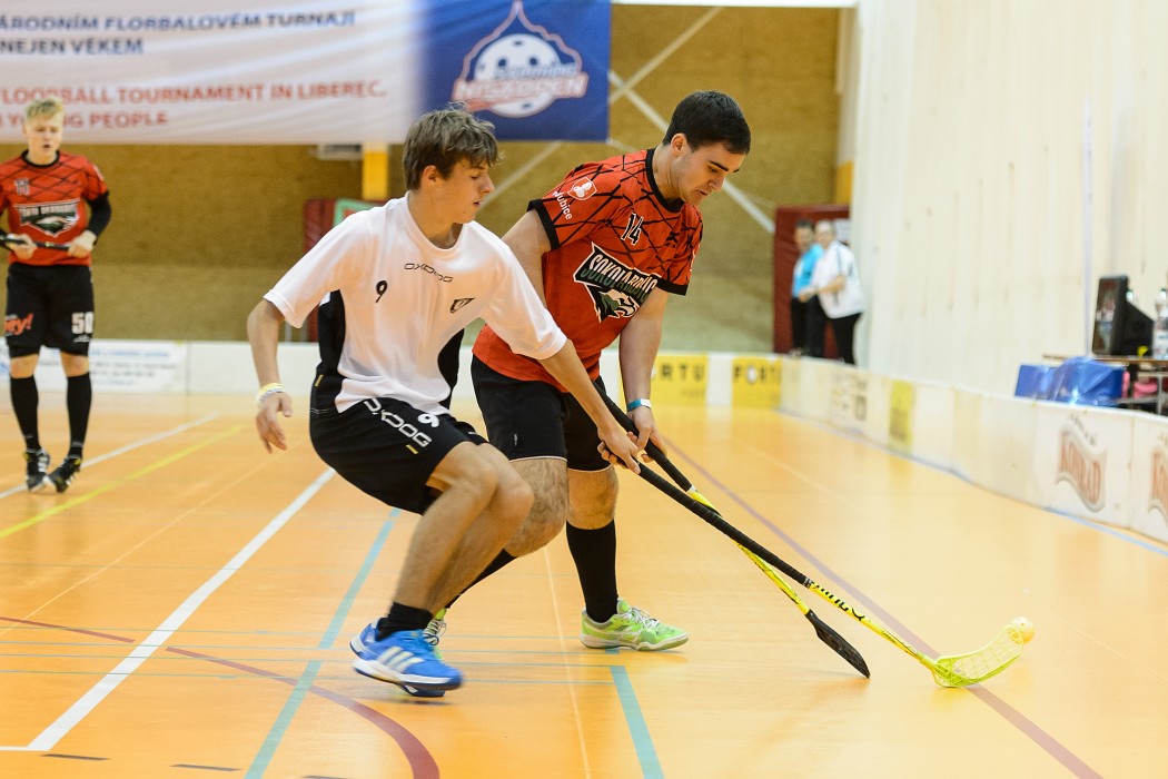 20140531 182021 MFL 3080